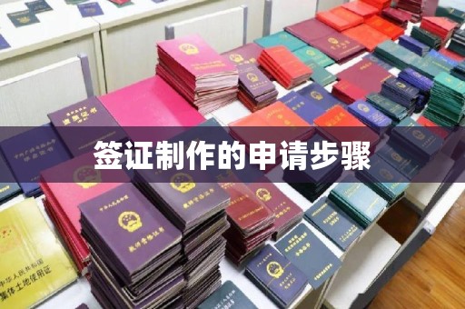 双溪签证制作的申请步骤