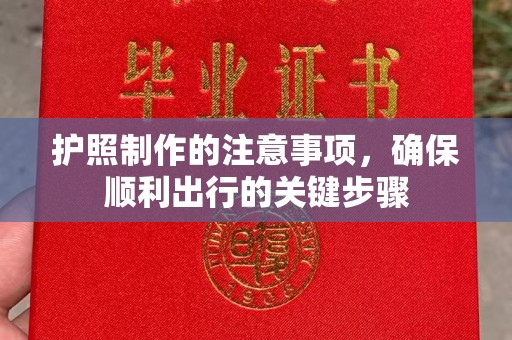 双溪护照制作的注意事项，确保顺利出行的关键步骤