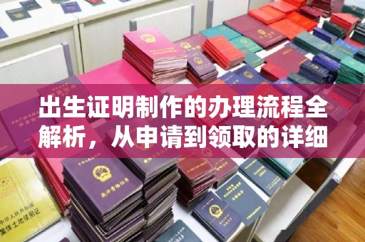 双溪出生证明制作的办理流程全解析，从申请到领取的详细指南