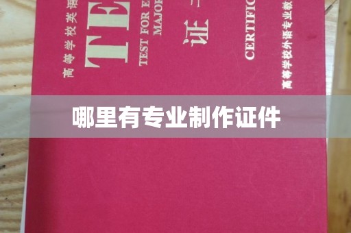 双溪哪里有专业制作证件