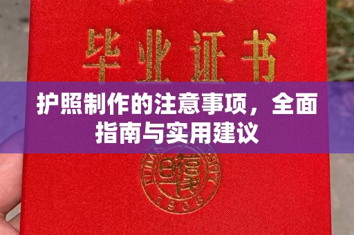 双溪护照制作的注意事项，全面指南与实用建议